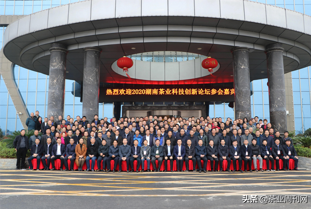 2020湖南茶业科技创新论坛在新化县召开