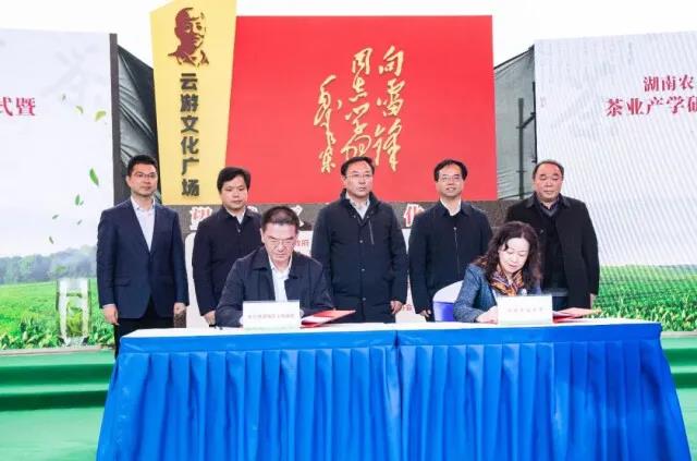 湖南农业大学和望城区政府签订茶叶产学研基地项目合作框架协议.jpg