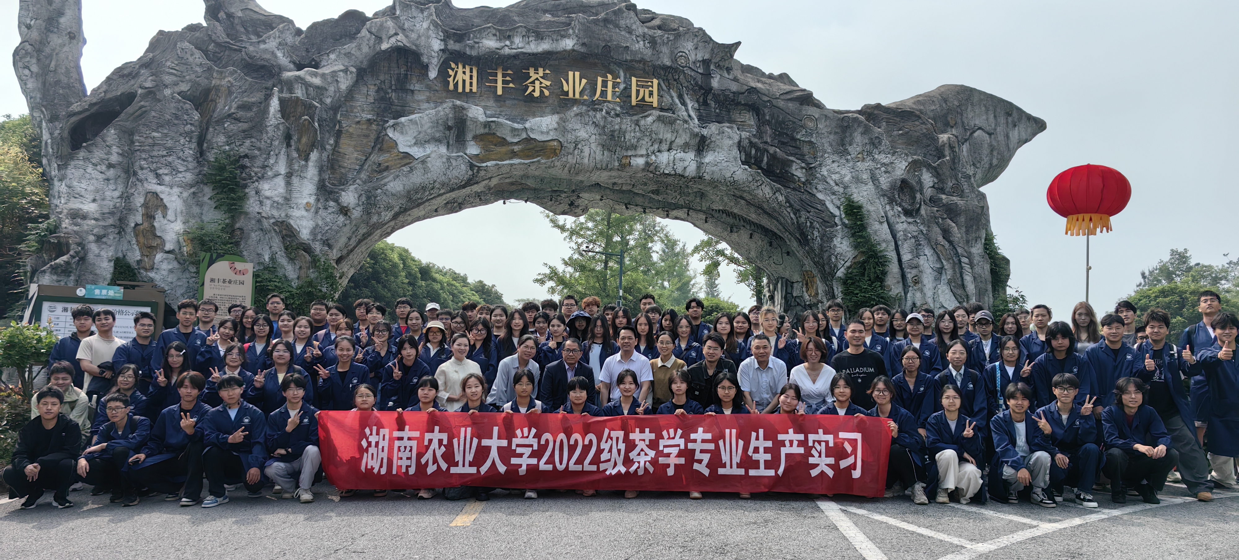 湖南农大茶学师生赴湘丰茶业集团开展生产实习