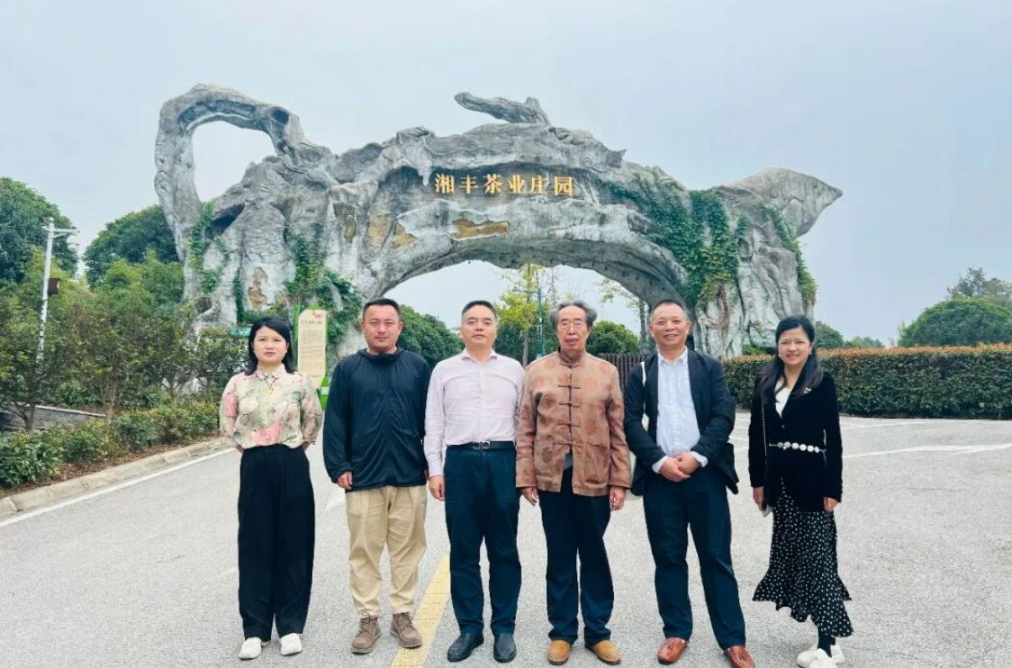 湖南省茶文化研究会会长肖涛一行调研湘丰茶业集团 共促茶文化传承与产业创新 湖南省茶文化研究会会长肖涛一行调研湘丰茶业集团 共促茶文化传承与产业创新