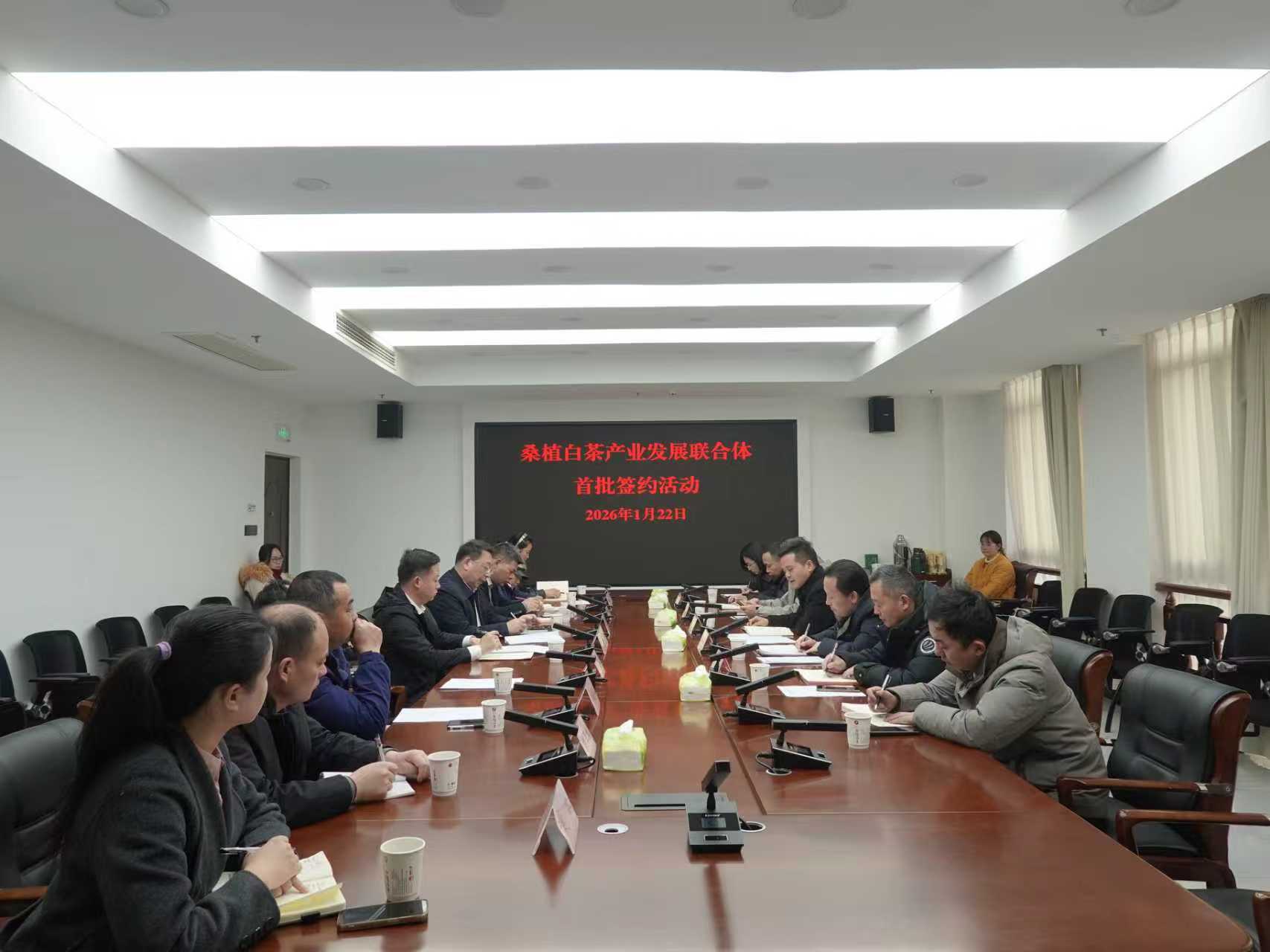 湘丰桑植白茶公司牵头组建桑植白茶产业发展联合体 首批签约开启协同共赢新征程