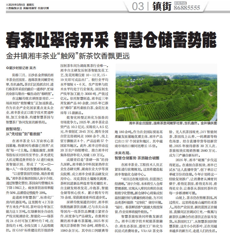 星沙时报 | 春茶吐翠待开采 智慧仓储蓄势能 金井镇湘丰茶业“触网”新茶饮香飘更远 星沙时报 | 春茶吐翠待开采 智慧仓储蓄势能 金井镇湘丰茶业“触网”新茶饮香飘更远