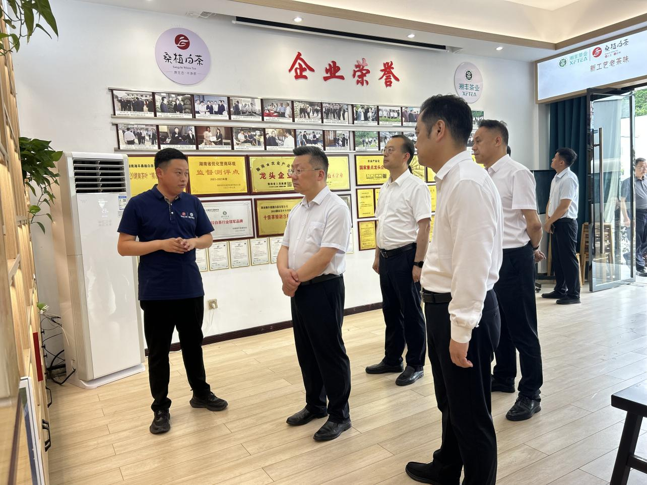市委副书记、代市长陈澎带队调研湘丰桑植白茶公司