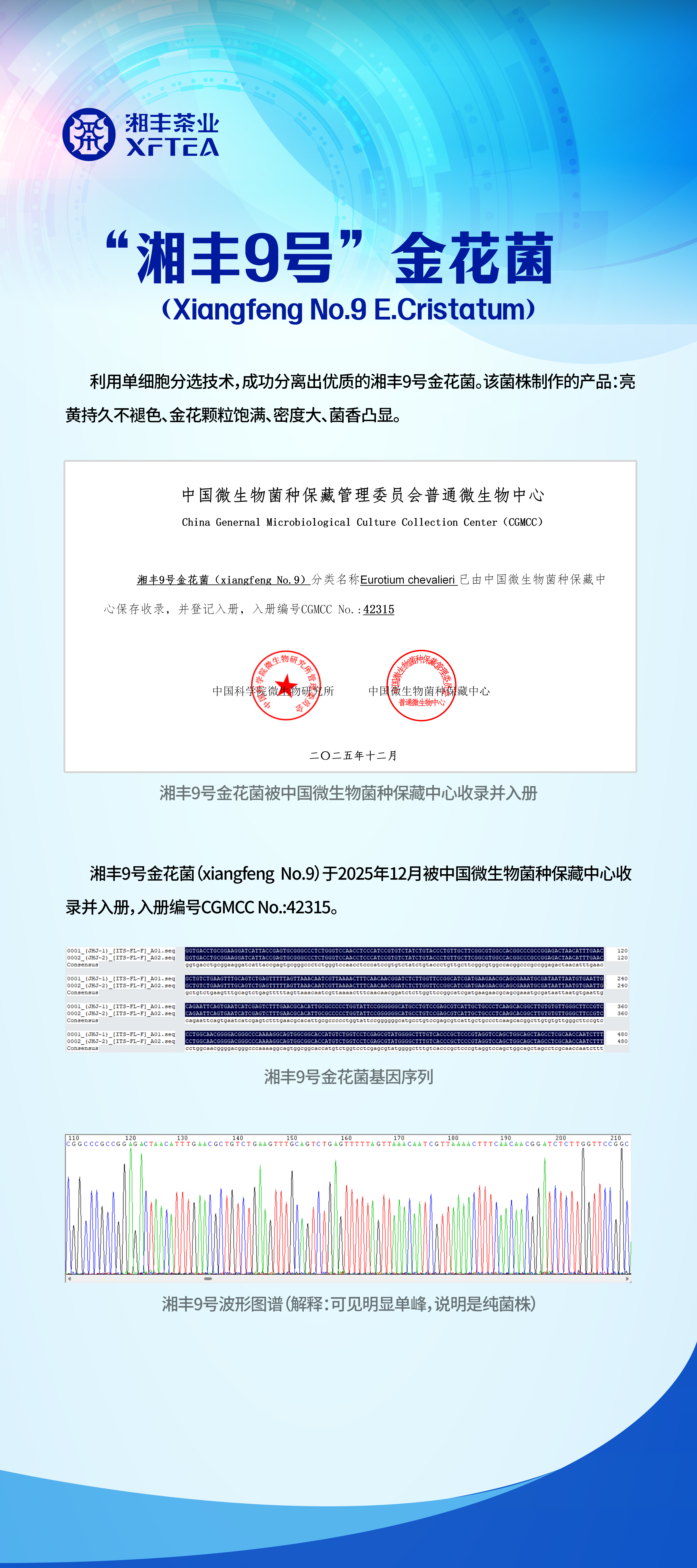 湘丰9号展架.jpg 湘丰9号展架.jpg